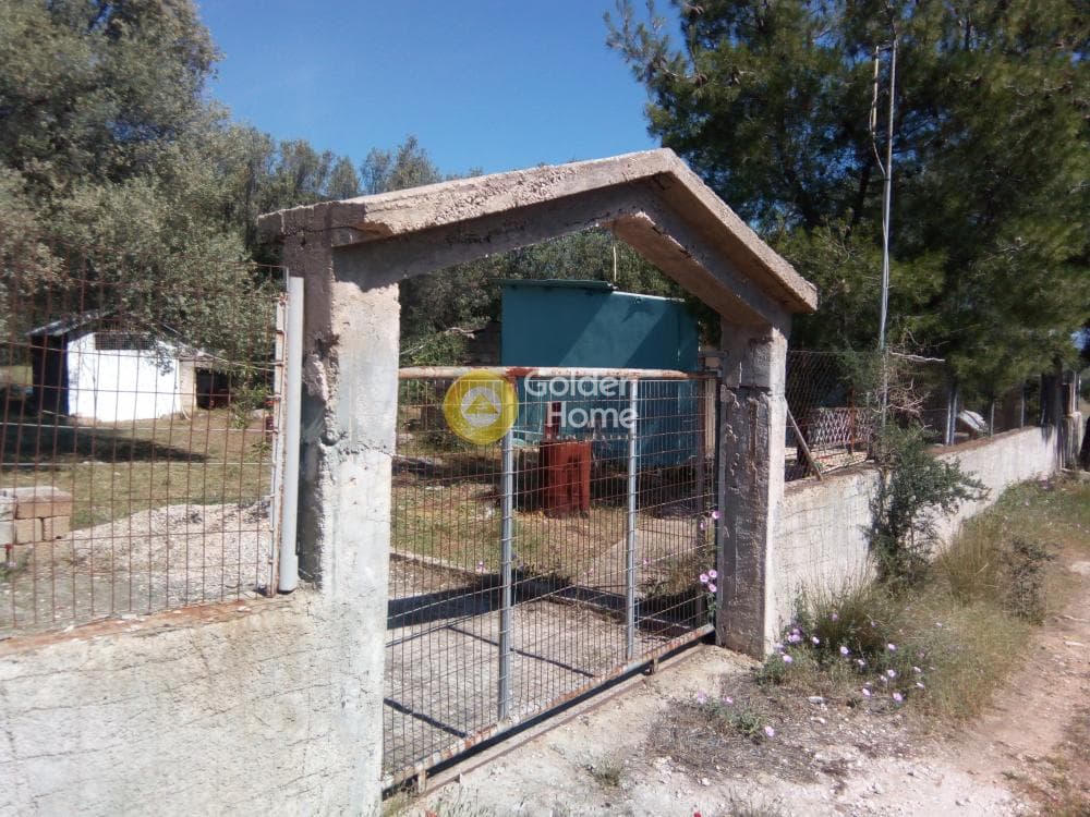 Αγροτεμάχιο στην Αγία Τριάδα, Παιανία — Φωτογραφία 2 από 9