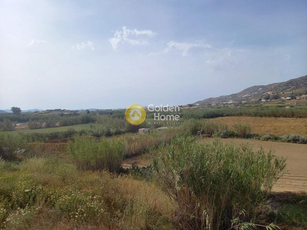 Parcel in Galanado, Naxos — Photo 1 of 6