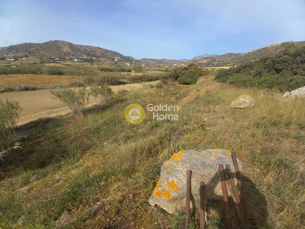 Parcel in Galanado, Naxos — Photo 2 of 6