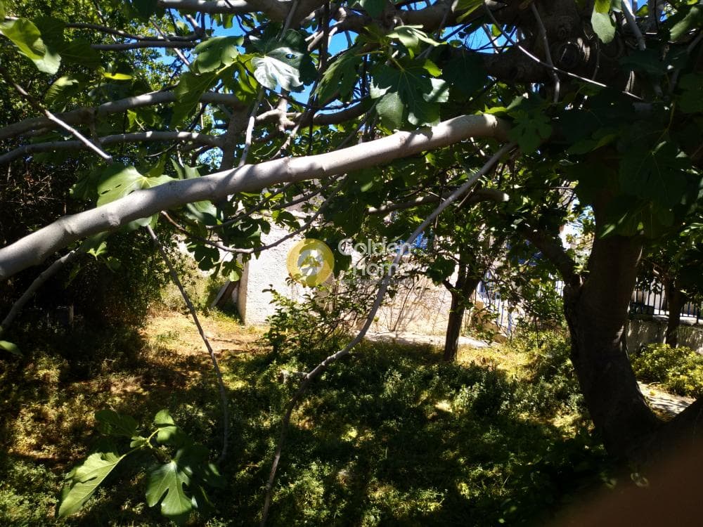 Building Plot in Center, Artemida (Loutsa) — Photo 2 of 11