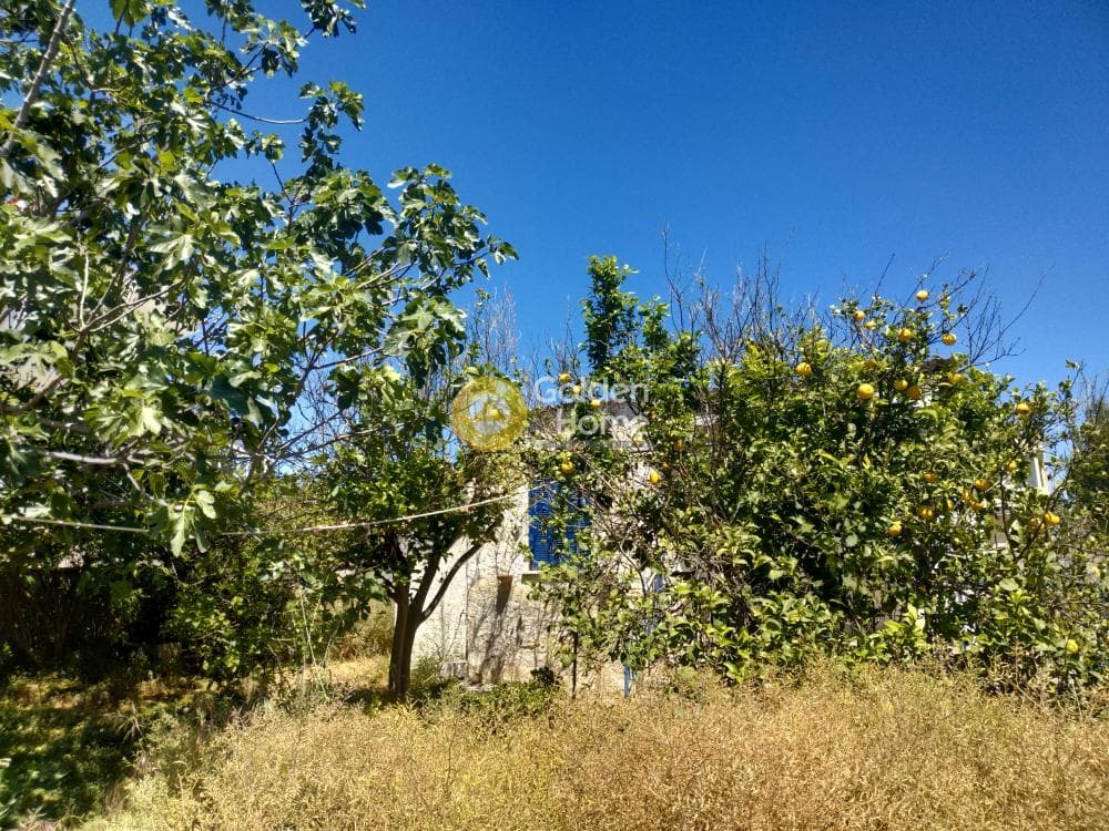 Building Plot in Center, Artemida (Loutsa) — Photo 7 of 11