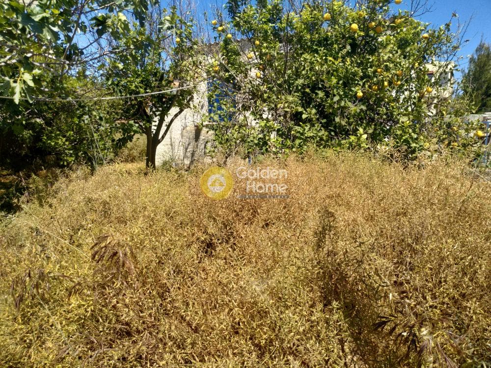 Building Plot in Center, Artemida (Loutsa) — Photo 9 of 11