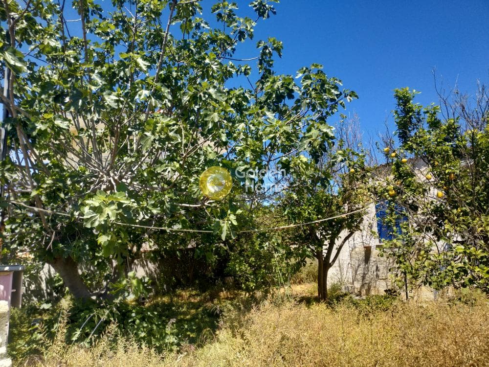 Building Plot in Center, Artemida (Loutsa) — Photo 10 of 11