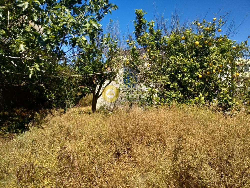 Building Plot in Center, Artemida (Loutsa) — Photo 11 of 11
