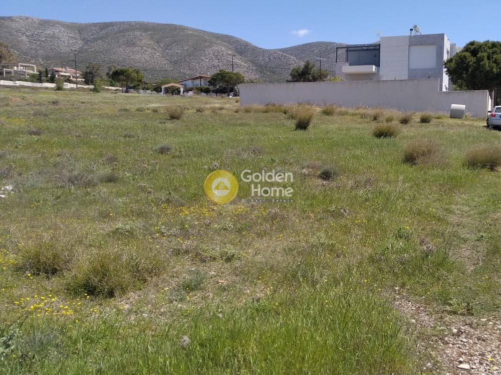 Building Plot in Kalivia, Kalivia Thorikou — Photo 5 of 5