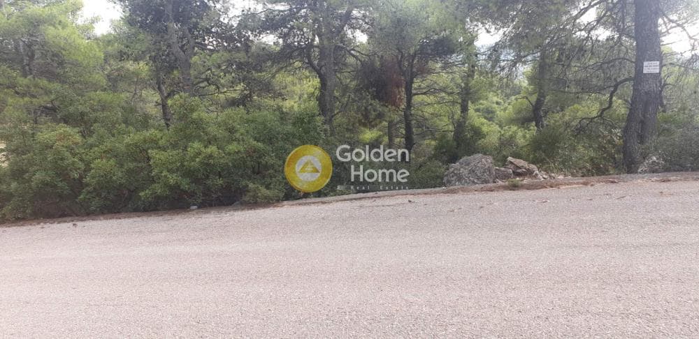 Building Plot in Agia Triada, Afidnes — Photo 1 of 7