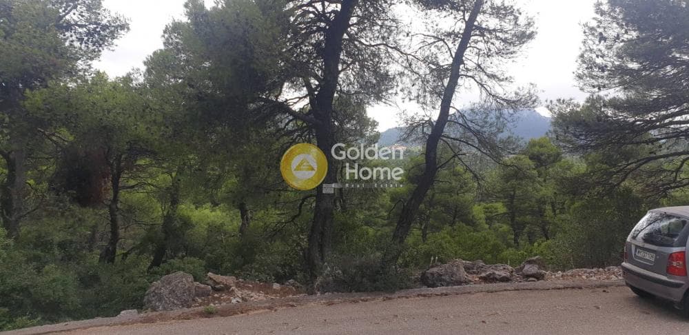 Building Plot in Agia Triada, Afidnes — Photo 2 of 7