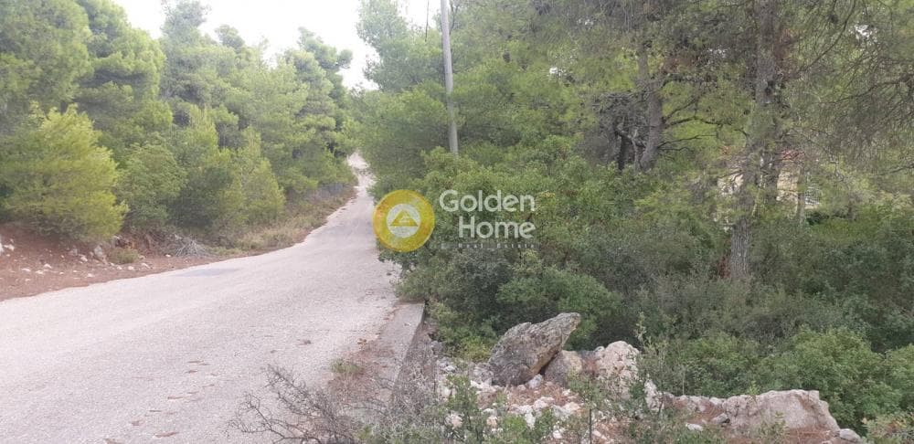 Building Plot in Agia Triada, Afidnes — Photo 3 of 7