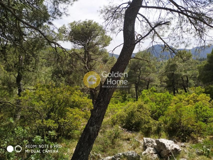 Building Plot in Agia Triada, Afidnes — Photo 7 of 7