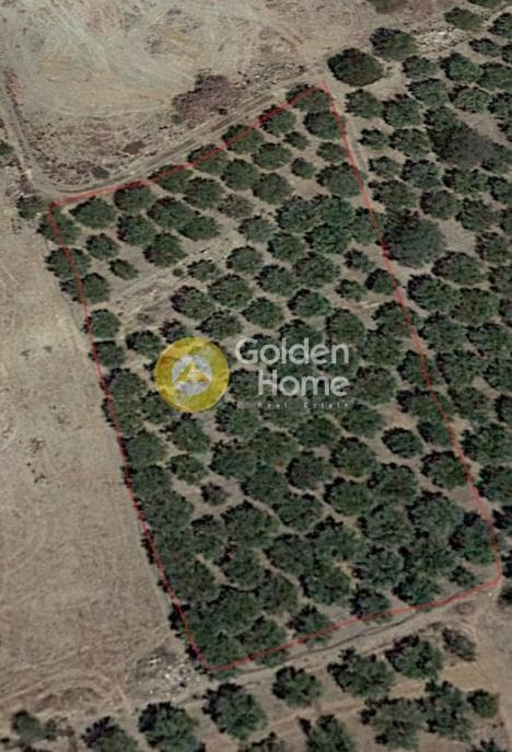 Building Plot in Kouses, Moires — Photo 8 of 8