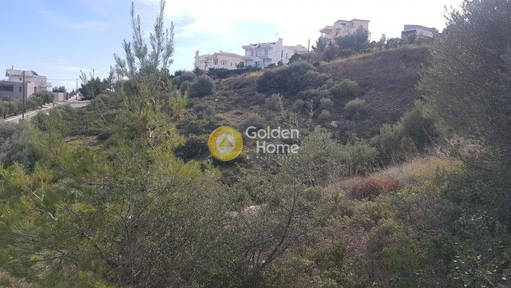 Οικόπεδο στην Ντράφι, Πικέρμι — Φωτογραφία 1 από 8