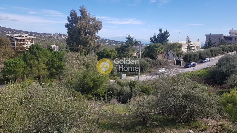 Οικόπεδο στην Ντράφι, Πικέρμι — Φωτογραφία 3 από 8