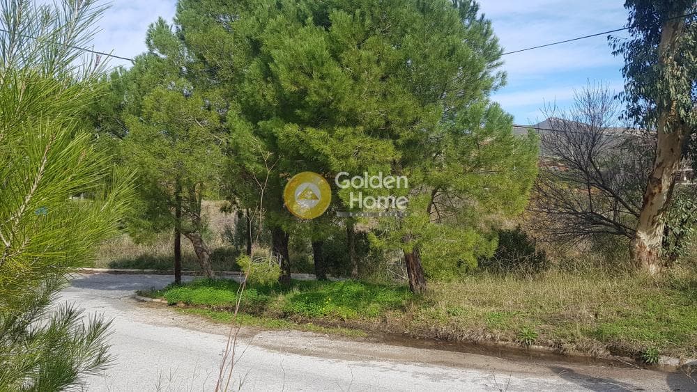 Οικόπεδο στην Ντράφι, Πικέρμι — Φωτογραφία 4 από 8