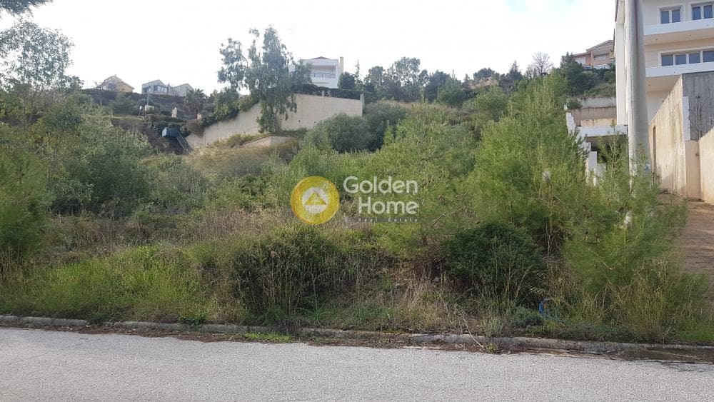 Οικόπεδο στην Ντράφι, Πικέρμι — Φωτογραφία 5 από 8