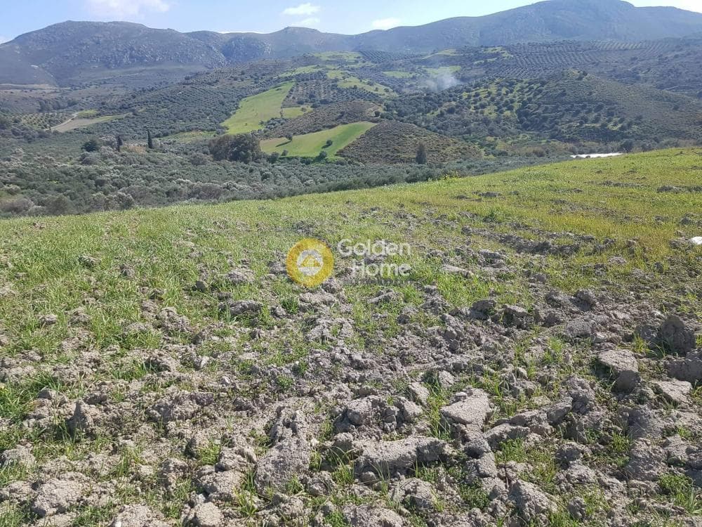 Αγροτεμάχιο στην Κουσές, Μοίρες — Φωτογραφία 3 από 10