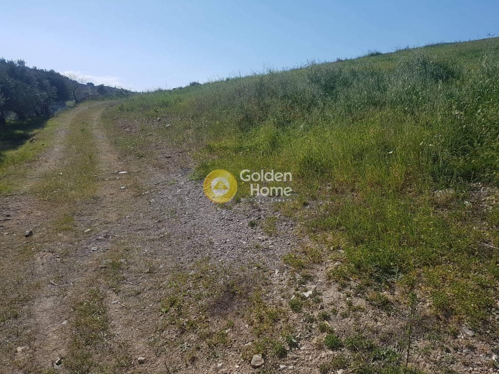 Αγροτεμάχιο στην Κουσές, Μοίρες — Φωτογραφία 6 από 10