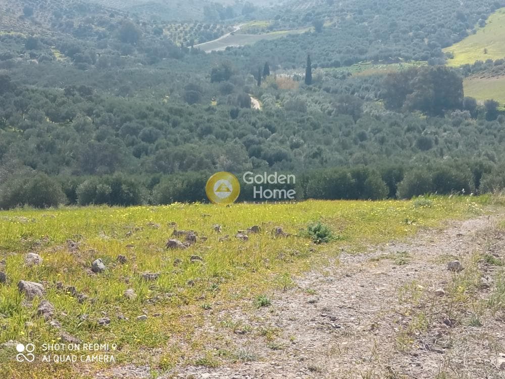 Αγροτεμάχιο στην Κουσές, Μοίρες — Φωτογραφία 5 από 10