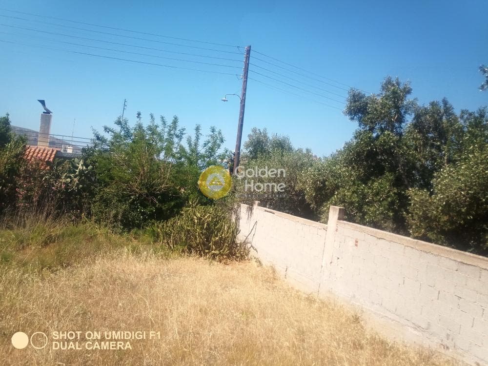 Building Plot in Kalivia, Kalivia Thorikou — Photo 2 of 5