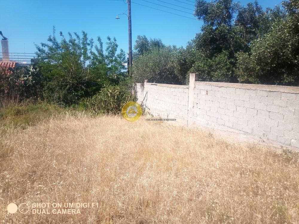 Building Plot in Kalivia, Kalivia Thorikou — Photo 3 of 5