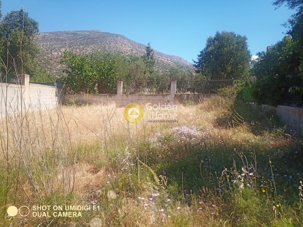 Building Plot in Kalivia, Kalivia Thorikou — Photo 5 of 5