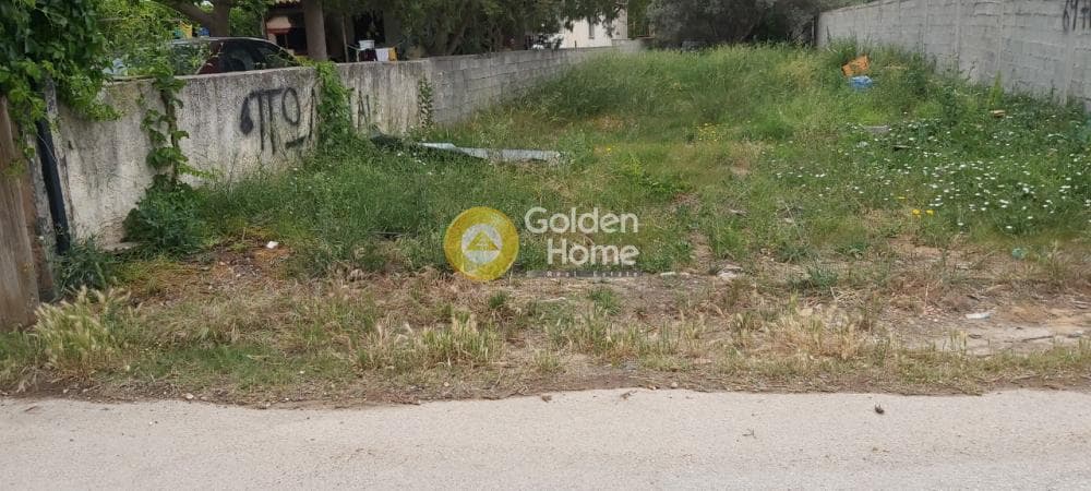 Αγροτεμάχιο στην Αγία Μαρίνα, Παιανία — Φωτογραφία 3 από 9