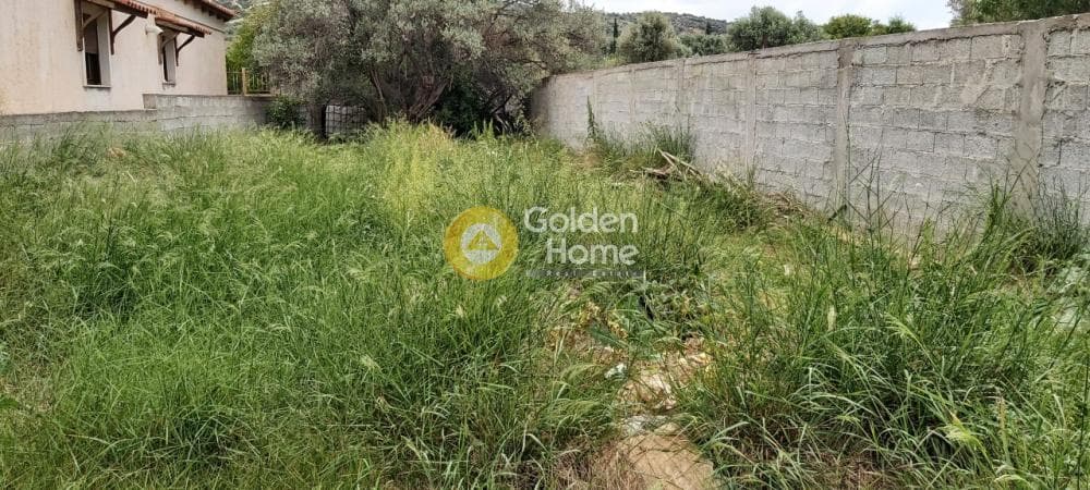 Αγροτεμάχιο στην Αγία Μαρίνα, Παιανία — Φωτογραφία 4 από 9