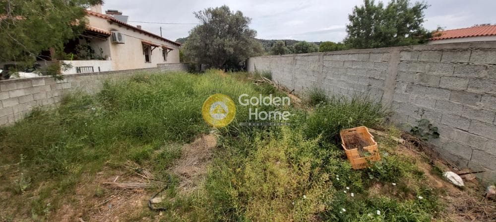 Αγροτεμάχιο στην Αγία Μαρίνα, Παιανία — Φωτογραφία 7 από 9