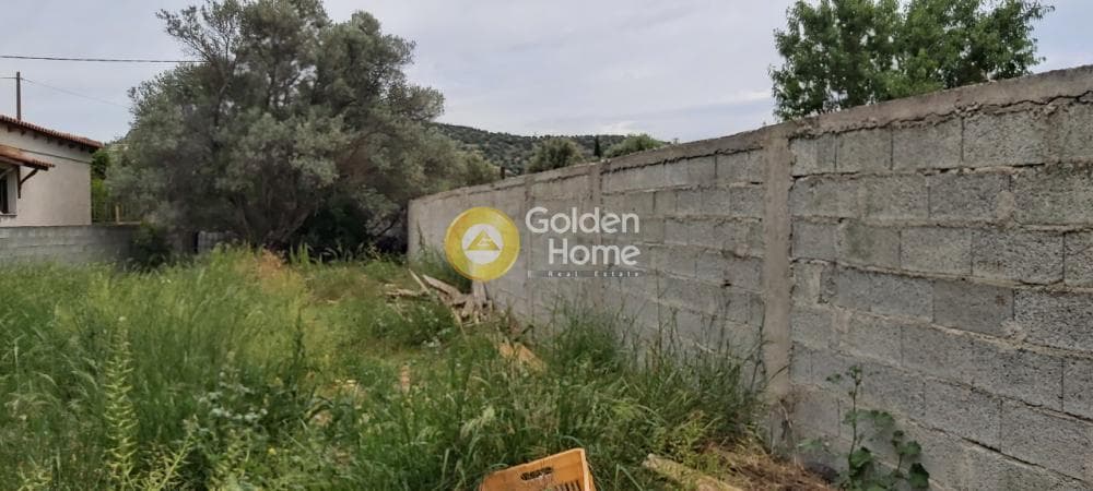Αγροτεμάχιο στην Αγία Μαρίνα, Παιανία — Φωτογραφία 8 από 9