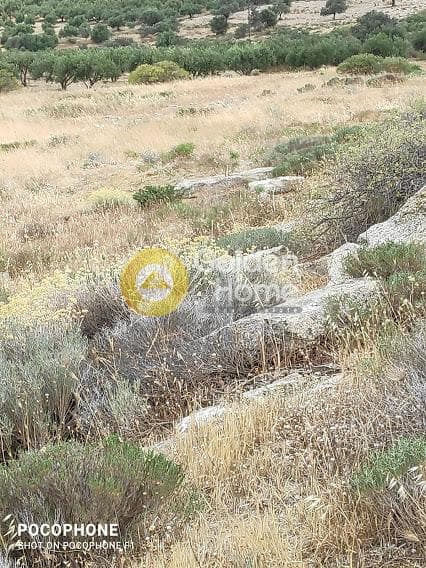 Αγροτεμάχιο στην Καμηλάρι, Τυμπάκι — Φωτογραφία 1 από 20