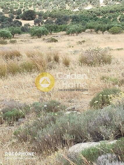 Αγροτεμάχιο στην Καμηλάρι, Τυμπάκι — Φωτογραφία 2 από 20