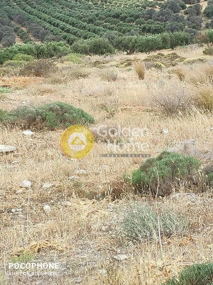 Αγροτεμάχιο στην Καμηλάρι, Τυμπάκι — Φωτογραφία 3 από 20