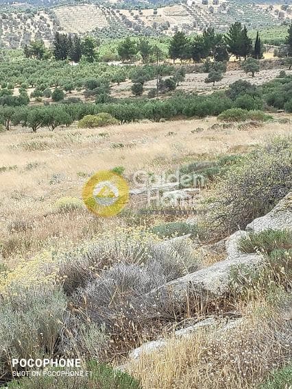 Αγροτεμάχιο στην Καμηλάρι, Τυμπάκι — Φωτογραφία 4 από 20