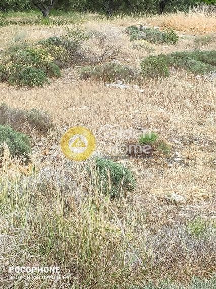 Αγροτεμάχιο στην Καμηλάρι, Τυμπάκι — Φωτογραφία 5 από 20