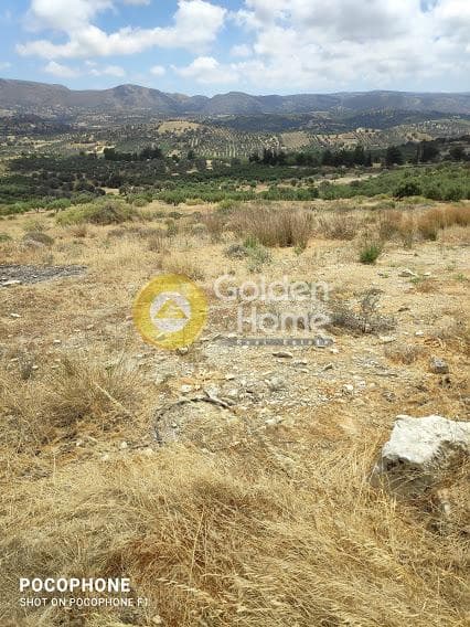 Αγροτεμάχιο στην Καμηλάρι, Τυμπάκι — Φωτογραφία 6 από 20