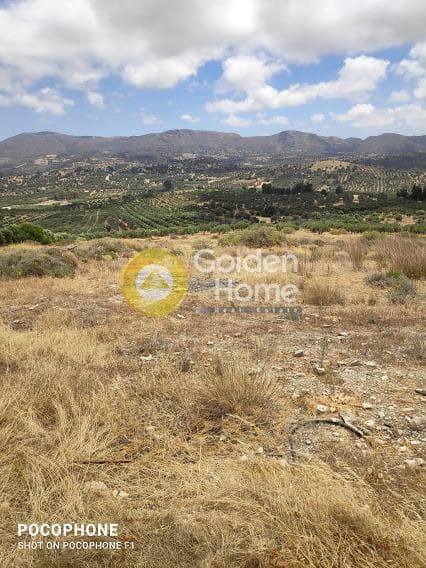 Αγροτεμάχιο στην Καμηλάρι, Τυμπάκι — Φωτογραφία 7 από 20