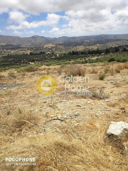 Αγροτεμάχιο στην Καμηλάρι, Τυμπάκι — Φωτογραφία 8 από 20