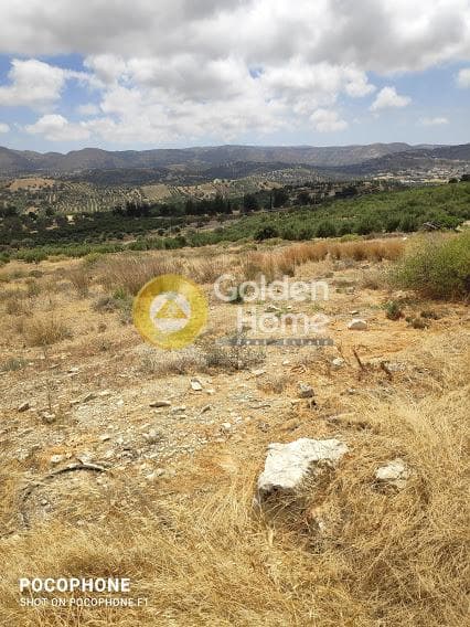 Αγροτεμάχιο στην Καμηλάρι, Τυμπάκι — Φωτογραφία 9 από 20