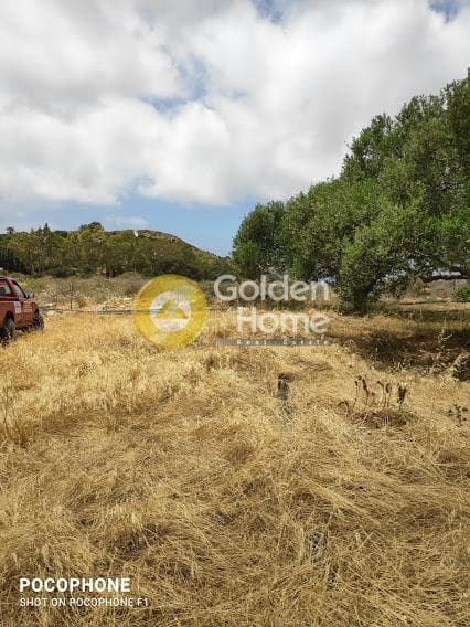 Αγροτεμάχιο στην Καμηλάρι, Τυμπάκι — Φωτογραφία 11 από 20