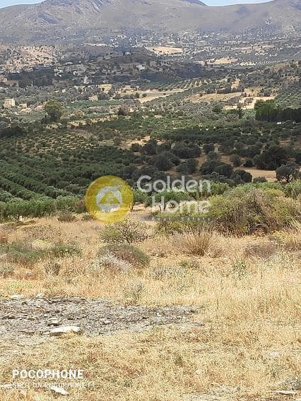 Αγροτεμάχιο στην Καμηλάρι, Τυμπάκι — Φωτογραφία 12 από 20