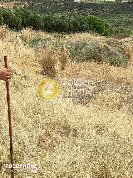 Αγροτεμάχιο στην Καμηλάρι, Τυμπάκι — Φωτογραφία 13 από 20
