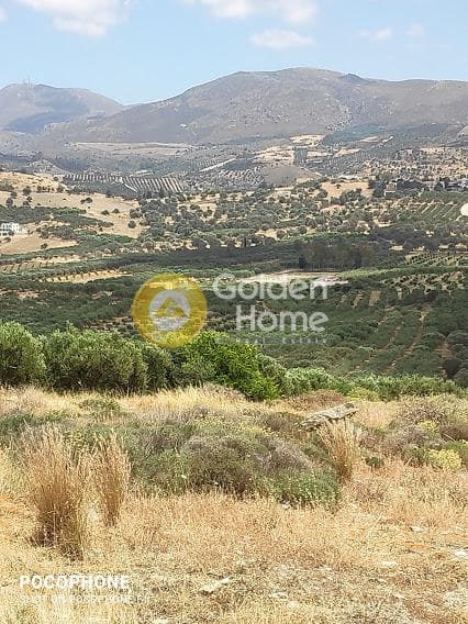 Αγροτεμάχιο στην Καμηλάρι, Τυμπάκι — Φωτογραφία 14 από 20