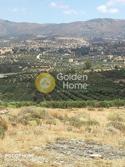 Αγροτεμάχιο στην Καμηλάρι, Τυμπάκι — Φωτογραφία 15 από 20