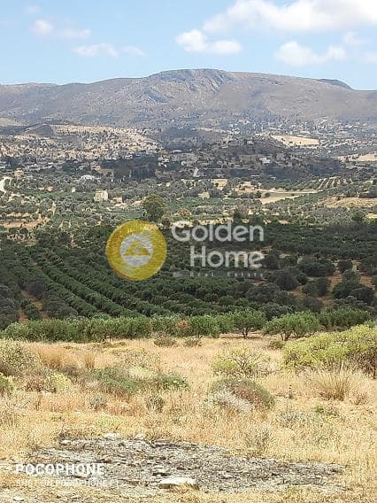 Αγροτεμάχιο στην Καμηλάρι, Τυμπάκι — Φωτογραφία 16 από 20