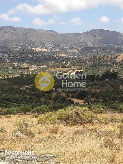 Αγροτεμάχιο στην Καμηλάρι, Τυμπάκι — Φωτογραφία 17 από 20