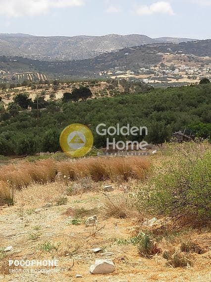 Αγροτεμάχιο στην Καμηλάρι, Τυμπάκι — Φωτογραφία 20 από 20