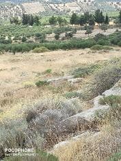 Οικόπεδο στην Καλαμάκι, Τυμπάκι — Φωτογραφία 2 από 20