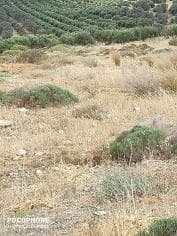 Οικόπεδο στην Καλαμάκι, Τυμπάκι — Φωτογραφία 3 από 20
