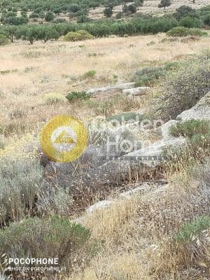 Οικόπεδο στην Καλαμάκι, Τυμπάκι — Φωτογραφία 6 από 20