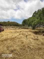 Οικόπεδο στην Καλαμάκι, Τυμπάκι — Φωτογραφία 8 από 20