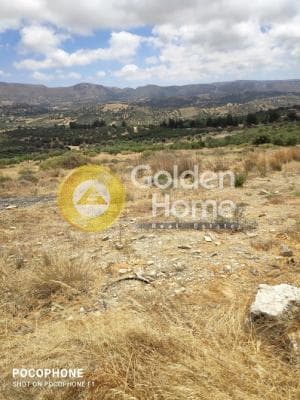 Οικόπεδο στην Καλαμάκι, Τυμπάκι — Φωτογραφία 11 από 20